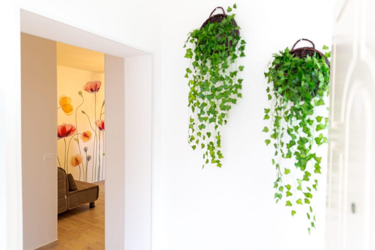 Sea Garden Apartments Ascea Zewnętrze zdjęcie